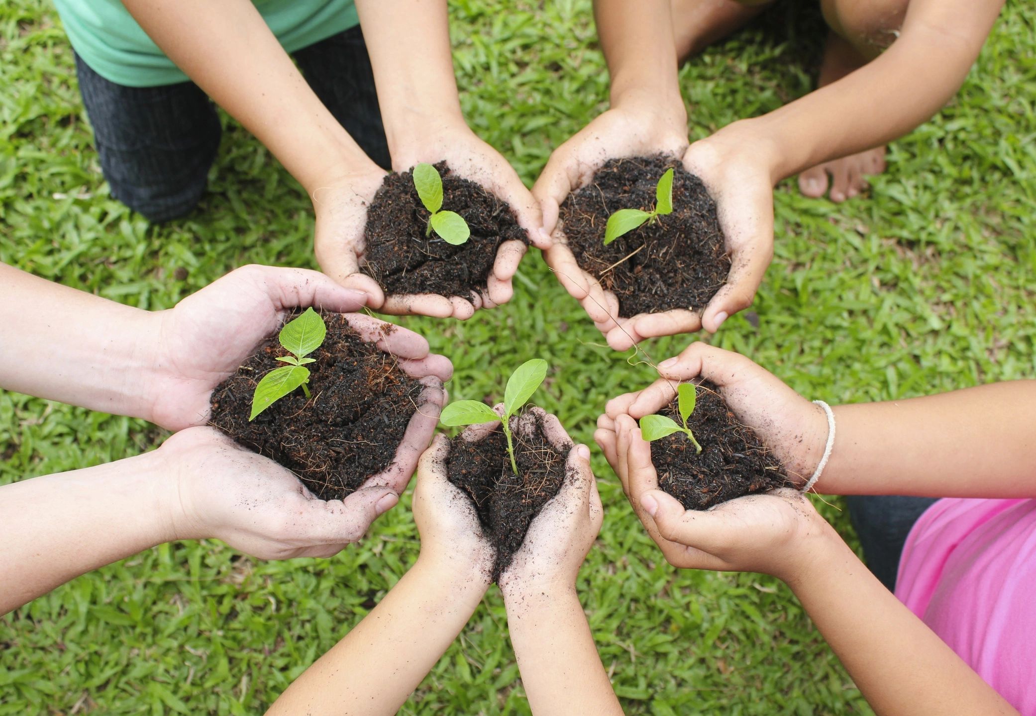 Planting