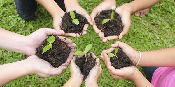 Different types of soil and growing media