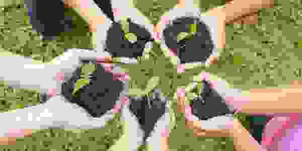 Empresa de Jardinería en Boadilla del Monte . Empresa de Jardinería en Brunete. Paisajismo Madrid