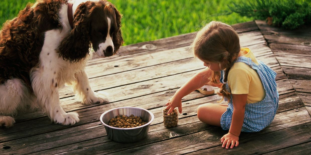 a little girl with a dog looking at a food bowl