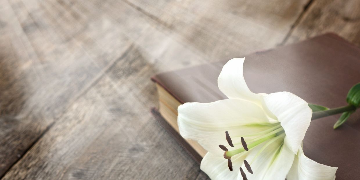 Your Answers truly are in the Bible.