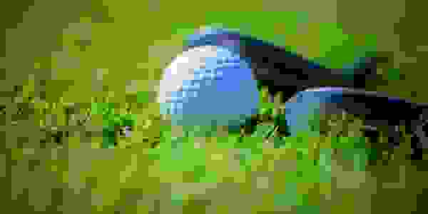 image291