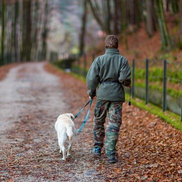 Dog Walker comes to your location to walk and exercise your pet in Jamestown ND