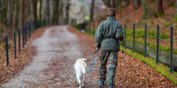 Loose leash walking with dog