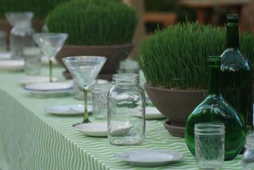 Table set with glassware and green plants on a striped cloth.