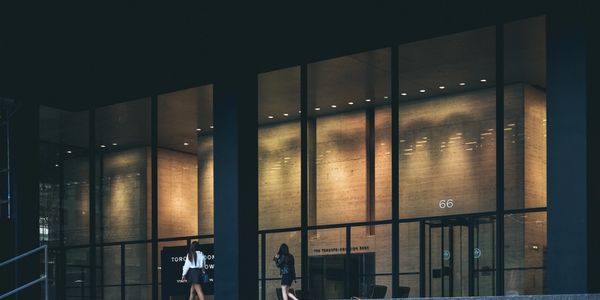 aluminum entrance system with curtain wall frame and swing doors