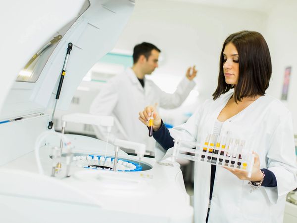 two experts in the lab.