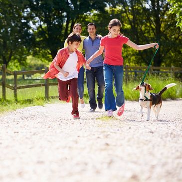 Family walking and playing with dog outdoors on a sunny day.