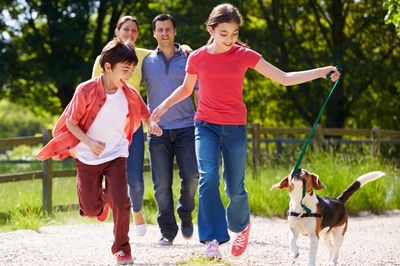 Family walking dog outdoors on a sunny day.