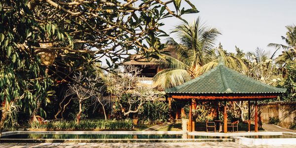 Tropical garden with a green-roofed gazebo and palm trees under clear sky.