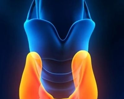 3D illustration of human thyroid gland in blue and orange hues.
