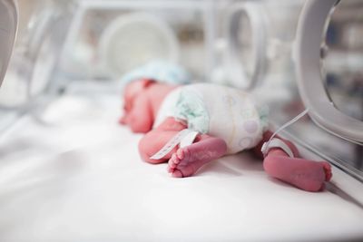 Newborn baby in incubator