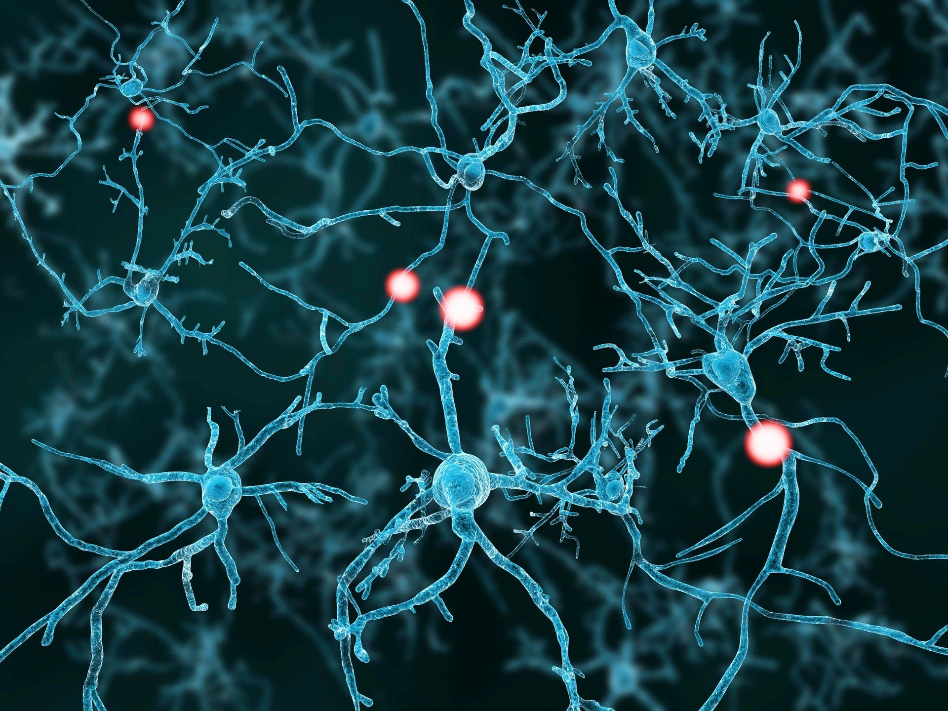 The Body Shop Affordable Chiropractic Services