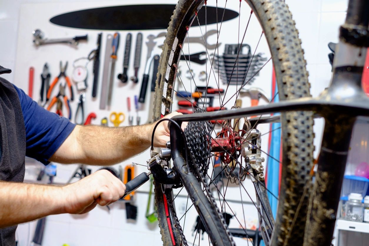 the bicycle worx