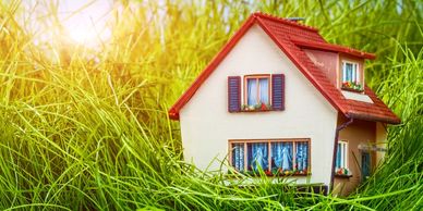 Model house in tall grass with sunlit background.