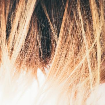 blonde hair, colorist