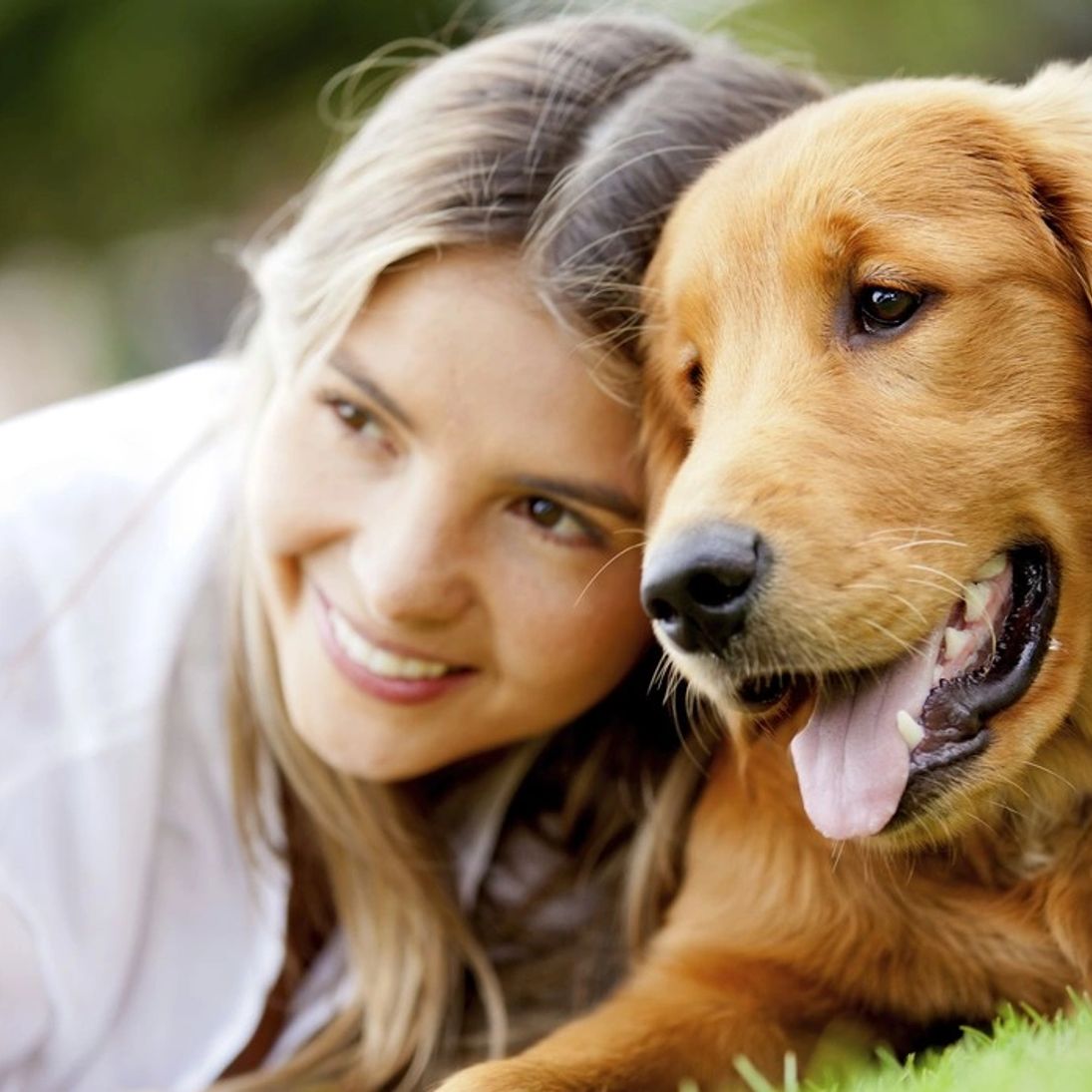 A Becoming Pet Salon And Mobile Spa
