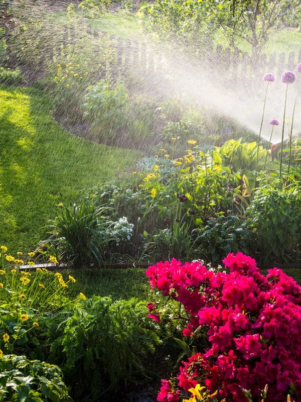 Garden flowers being watered by a sprinkler on a sunny day.