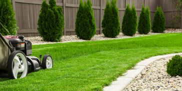 Mower mowing grass