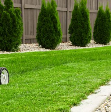 Tim mowing the grass.