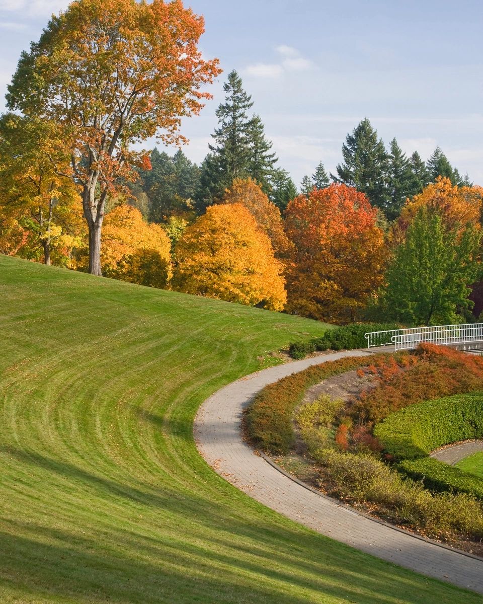 Clockwork Landscaping photo 2