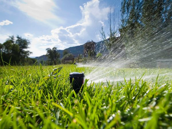 Complete sprinkler/irrigation services
