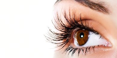 Close-up of a brown eye with long eyelashes.