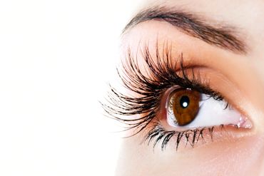 Close-up of a brown eye with long eyelashes and well-groomed eyebrow.