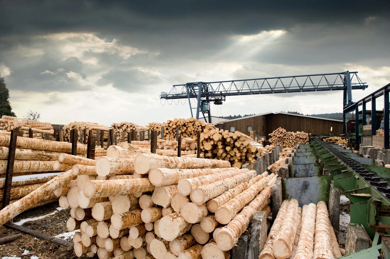 national lumber company photos        <h3 class=