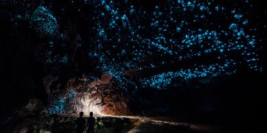 Glowing blue lights illuminate a dark cave ceiling.