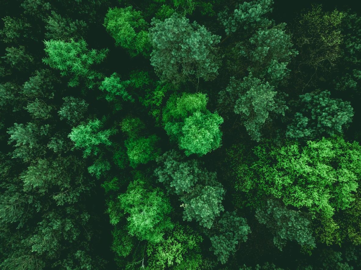 Green Revival