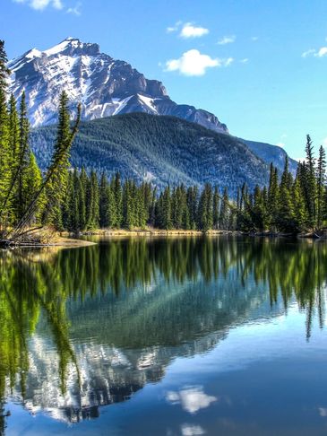 A Scenic Body of Water with Trees and a Mountain in the Background