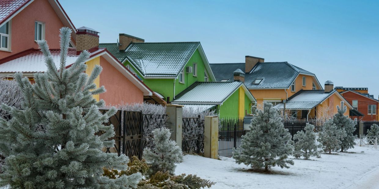 Snow-covered pine trees in front of colorful houses on a clear winter day.