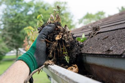 Gutter cleaning services, dirt and debris in gutters gutter guards needed in Edina, MN