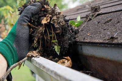 Gutter cleaning in West Hartford CT.
Gutter cleaning in Farmington.
Gutter cleaning in Avon.

