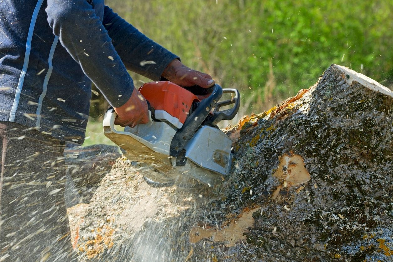 Harris Tree Service Gridley California