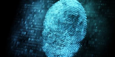 fingerprinting services