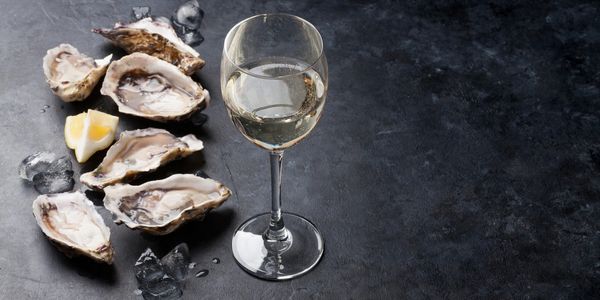 Fresh shucked oysters 