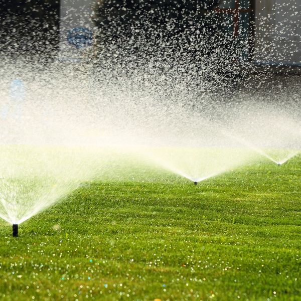 Irrigation sprinklers on grass sod healthy lawn