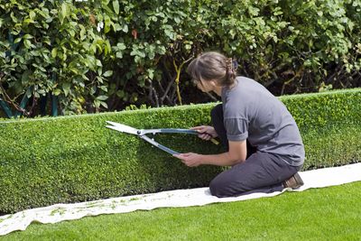 Woman trimming bushes at house.  