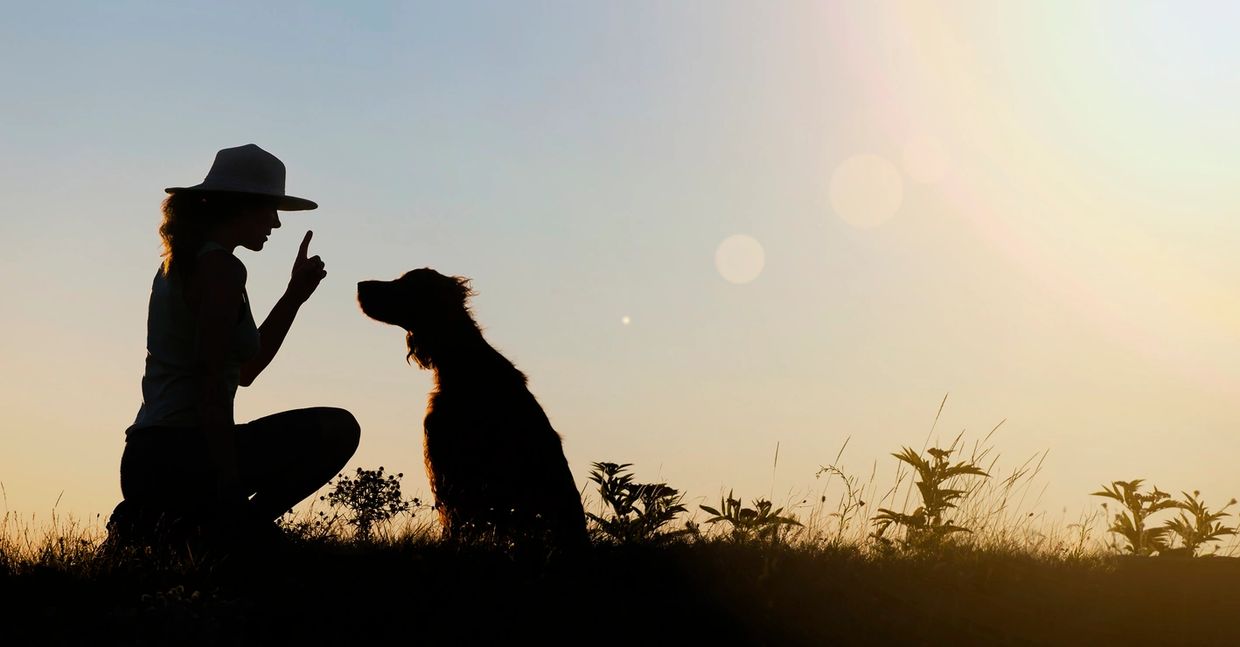 Lady and her dog outside