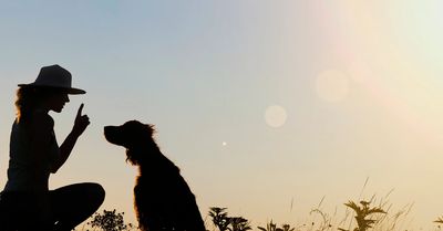 shadows of human talking to dog