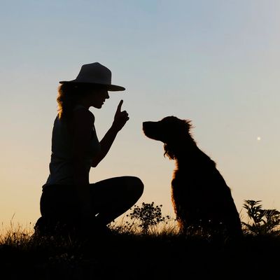 A person and a dog at sunset. The dog is sitting, the person kneeling with index finger pointing up