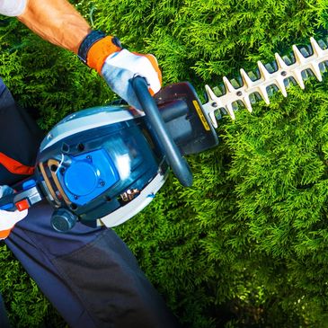 Hedge Trimming, Hedge trimmer 