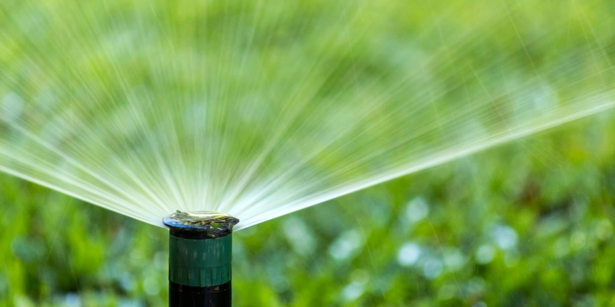 Decorative image showing a sprinkler spraying water. 