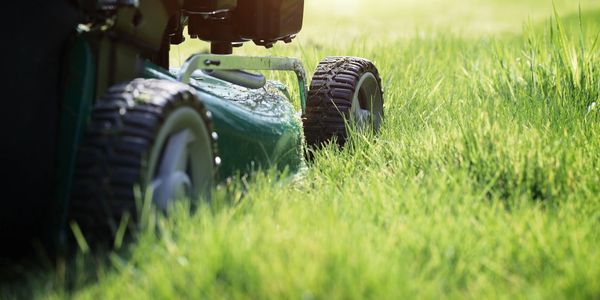 A lawn mower cutting grass