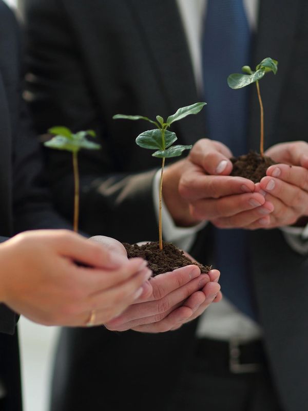 Group of Mortgage Administrators holding small trees that represent the growth