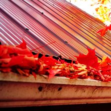 Clogged gutters are the number 1 cause for leaking/wet basements. Book a gutter cleaning today!