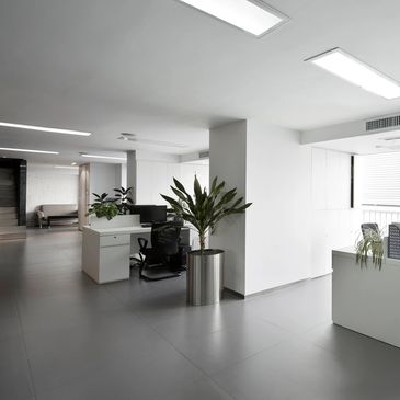 Office plants, indoor plants, plant service, interior landscaping, office, design