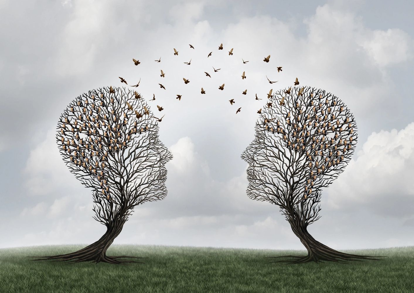 two trees connecting together representative of two people in a counselling session.